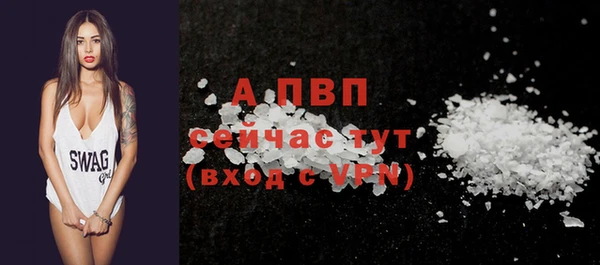 apvp Ельня