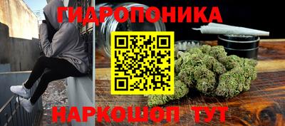 Альфа ПВП Камышлов