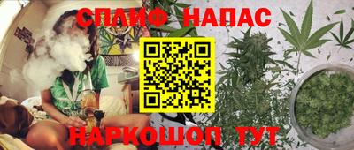 индика Канаш
