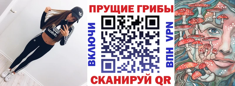 Псилоцибиновые грибы мицелий  где продают   МЕГА вход  Саянск 