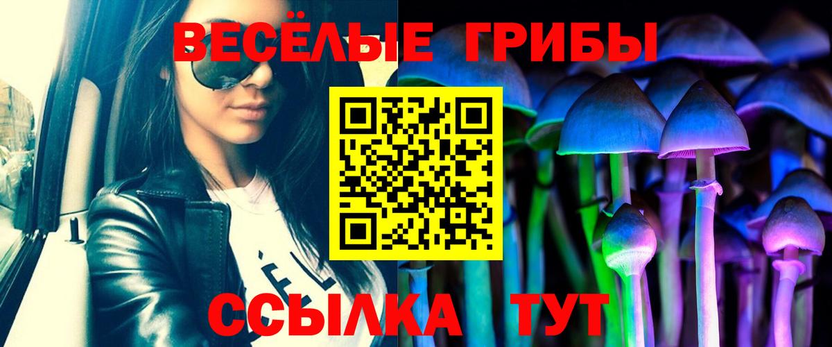 Саянск  Галлюциногенные грибы MAGIC MUSHROOMS  Вход с VPN  Галлюциногенные грибы Psilocybe 